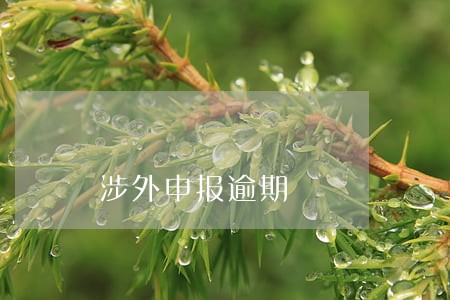 涉外申报逾期 涉外申报逾期