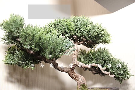 涉外离婚律师在线咨询 涉外离婚律师在线咨询