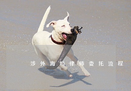 涉外离婚律师委托流程