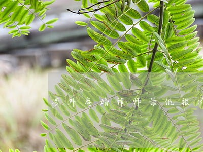 涉外离婚律师最低报价 涉外离婚律师最低报价