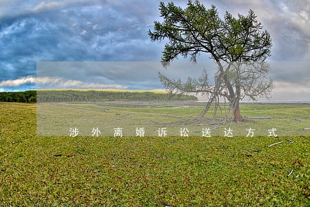 涉外离婚诉讼送达方式 涉外离婚诉讼送达方式