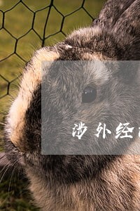 涉外经济法规的地位和作用 涉外经济法规的地位和作用