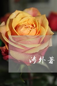 涉外著名遗产继承纠纷律师 涉外著名遗产继承纠纷律师
