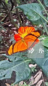 涉外诉讼急找律师 涉外诉讼急找律师