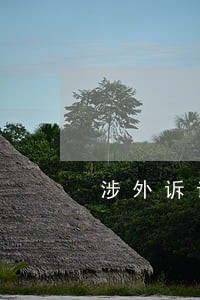涉外诉讼想找律师 涉外诉讼想找律师