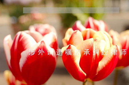 涉外请遗嘱继承纠纷律师 涉外请遗嘱继承纠纷律师