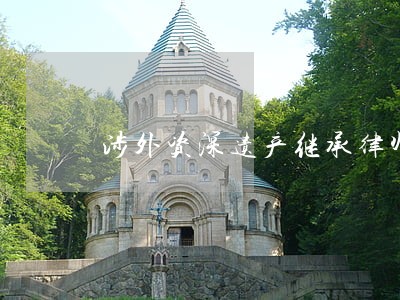 涉外资深遗产继承律师 涉外资深遗产继承律师