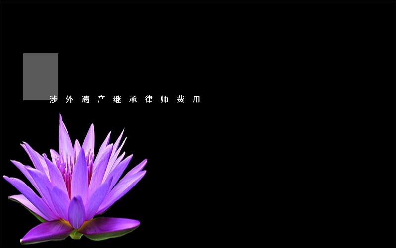 涉外遗产继承律师费用 涉外遗产继承律师费用