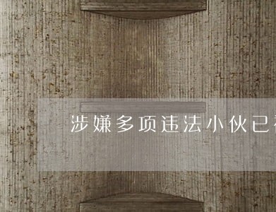 涉嫌多项违法小伙已被拘留 涉嫌多项违法小伙已被拘留