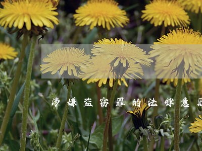 涉嫌盗窃罪的法律意见书 涉嫌盗窃罪的法律意见书