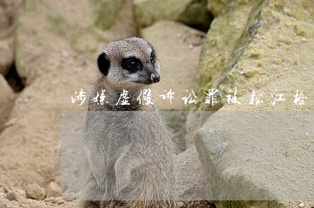 涉嫌虚假诉讼罪被松江检方批捕 涉嫌虚假诉讼罪被松江检方批捕