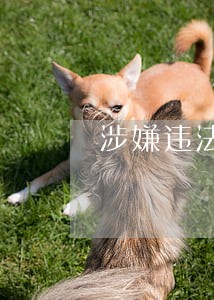 涉嫌违法乱纪行为 涉嫌违法乱纪行为