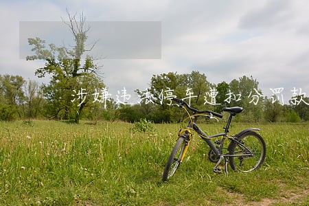 涉嫌违法停车遭扣分罚款吗 涉嫌违法停车遭扣分罚款吗