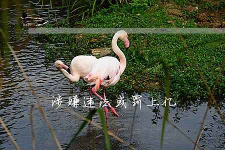 涉嫌违法或罚上亿