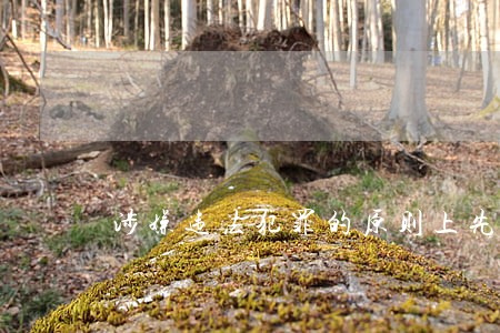 涉嫌违法犯罪的原则上先 涉嫌违法犯罪的原则上先