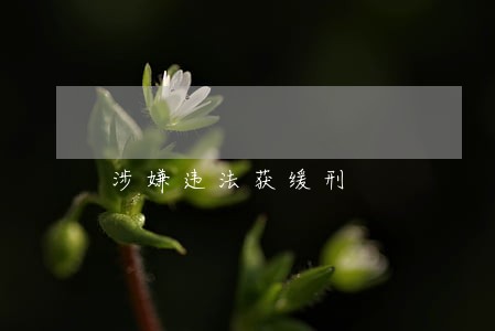 涉嫌违法获缓刑 涉嫌违法获缓刑