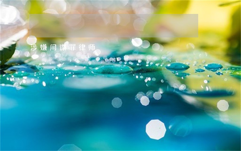 涉嫌间谍罪律师