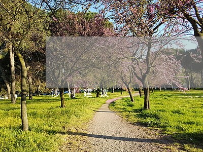 涉村建议 涉村建议