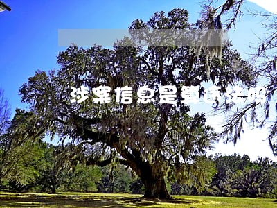 涉案信息是算违法吗 涉案信息是算违法吗