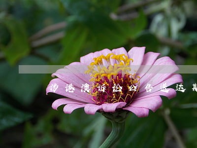 涉港澳诉讼公告送达期限 涉港澳诉讼公告送达期限
