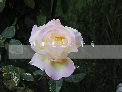 涉澳送达六个月