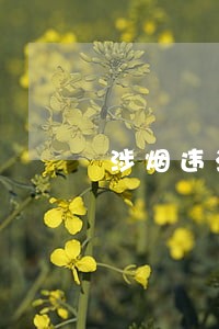 涉烟违法商户如何限量降档 涉烟违法商户如何限量降档