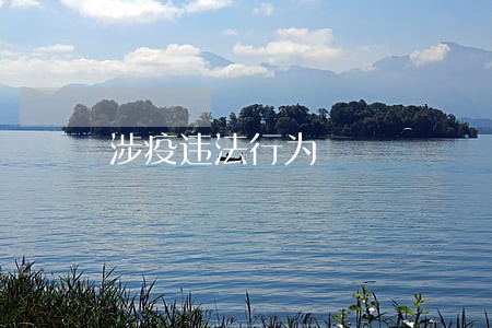 涉疫违法行为