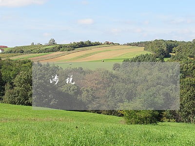 涉税 涉税