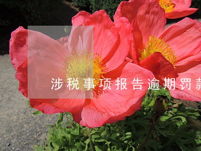 涉税事项报告逾期罚款