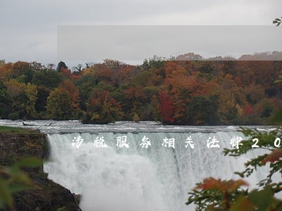 涉税服务相关法律2020过关率 涉税服务相关法律2020过关率