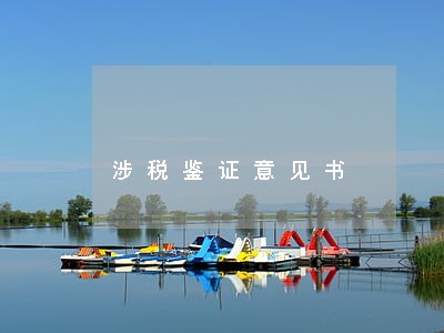 涉税鉴证意见书 涉税鉴证意见书