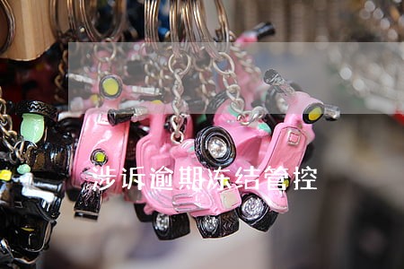 涉诉逾期冻结管控 涉诉逾期冻结管控
