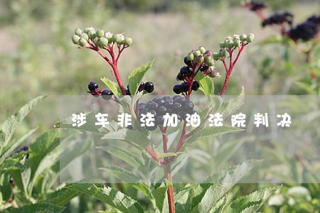 涉车非法加油法院判决 涉车非法加油法院判决