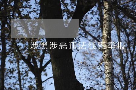 涉黑涉恶违法线索举报 涉黑涉恶违法线索举报