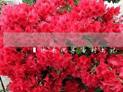 涞水县沈家庵村书记 涞水县沈家庵村书记