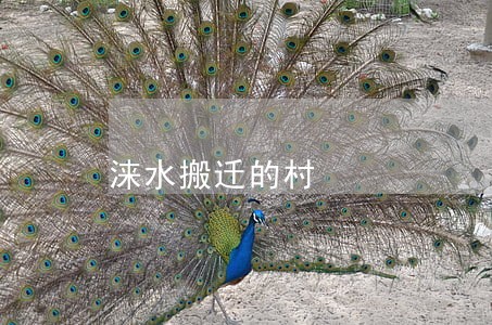 涞水搬迁的村 涞水搬迁的村