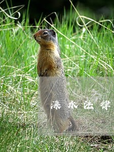 涞水法律援助 涞水法律援助