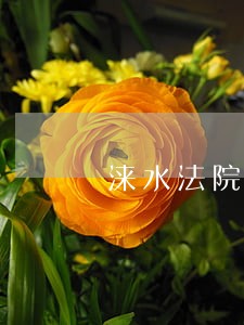 涞水法院民事一庭庭长是谁 涞水法院民事一庭庭长是谁