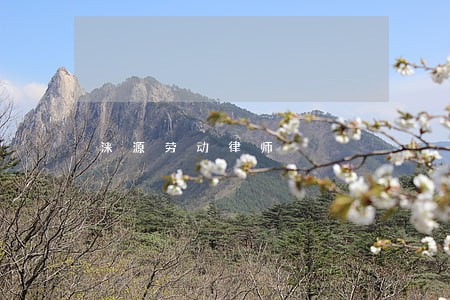 涞源劳动律师 涞源劳动律师