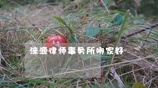 涞源律师事务所哪家好