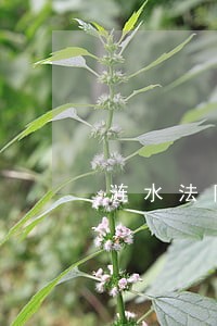 涟水法院执行庭王磊 涟水法院执行庭王磊