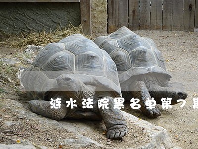 涟水法院黑名单第7期 涟水法院黑名单第7期