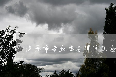 涟源市专业债务律师风险代理 涟源市专业债务律师风险代理