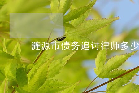 涟源市债务追讨律师多少钱 涟源市债务追讨律师多少钱
