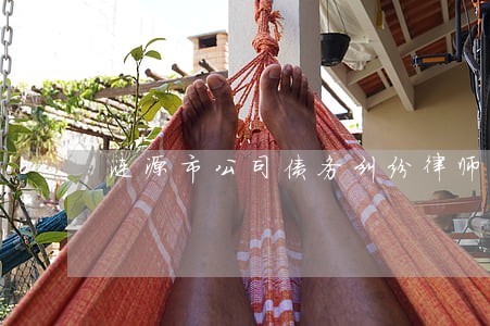 涟源市公司债务纠纷律师服务