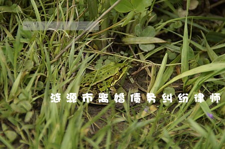 涟源市离婚债务纠纷律师网站 涟源市离婚债务纠纷律师网站