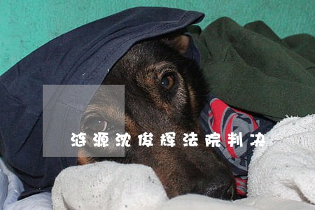 涟源沈俊辉法院判决 涟源沈俊辉法院判决