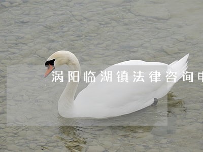 涡阳临湖镇法律咨询电话 涡阳临湖镇法律咨询电话