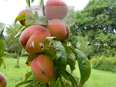 涡阳义门镇房产纠纷律师 涡阳义门镇房产纠纷律师