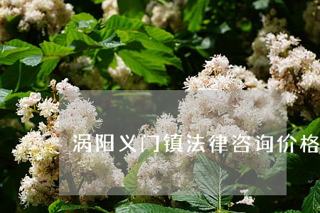 涡阳义门镇法律咨询价格 涡阳义门镇法律咨询价格